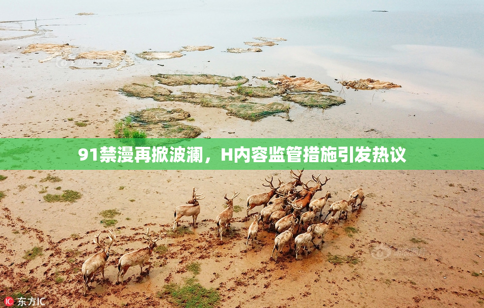 91禁漫再掀波澜，H内容监管措施引发热议