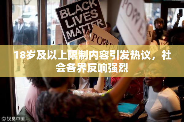 18岁及以上限制内容引发热议，社会各界反响强烈