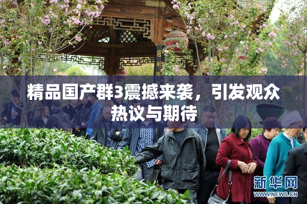 精品国产群3震撼来袭，引发观众热议与期待