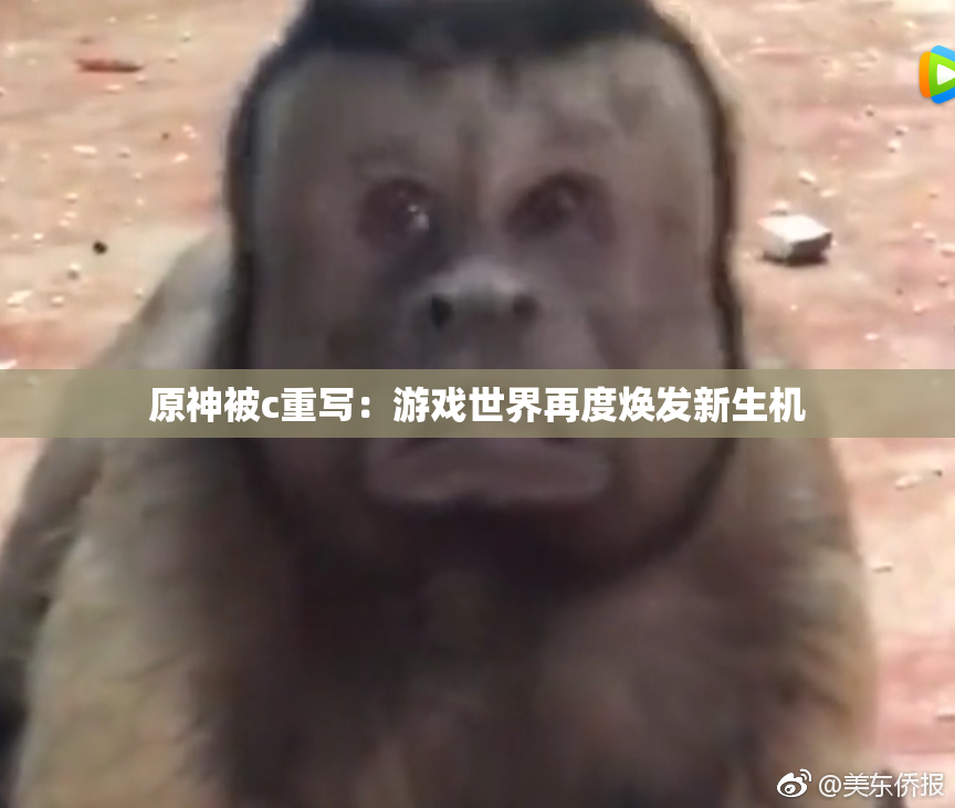 原神被c重写：游戏世界再度焕发新生机