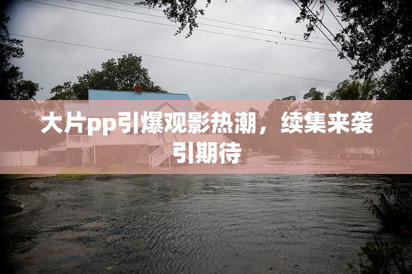 大片pp引爆观影热潮，续集来袭引期待