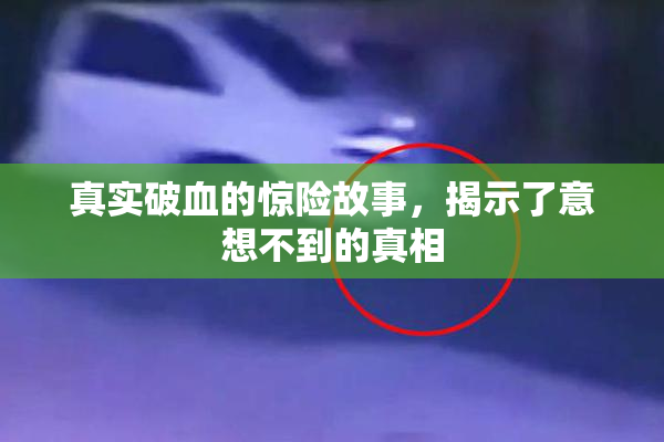 真实破血的惊险故事，揭示了意想不到的真相