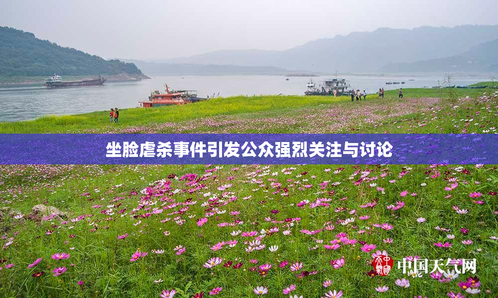 坐脸虐杀事件引发公众强烈关注与讨论
