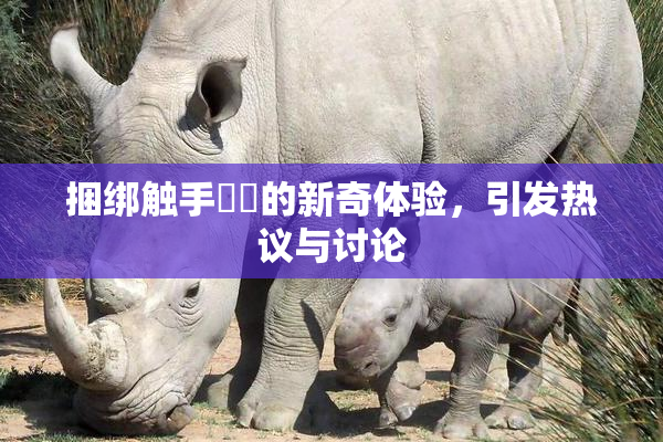 捆绑触手❌‌的新奇体验，引发热议与讨论