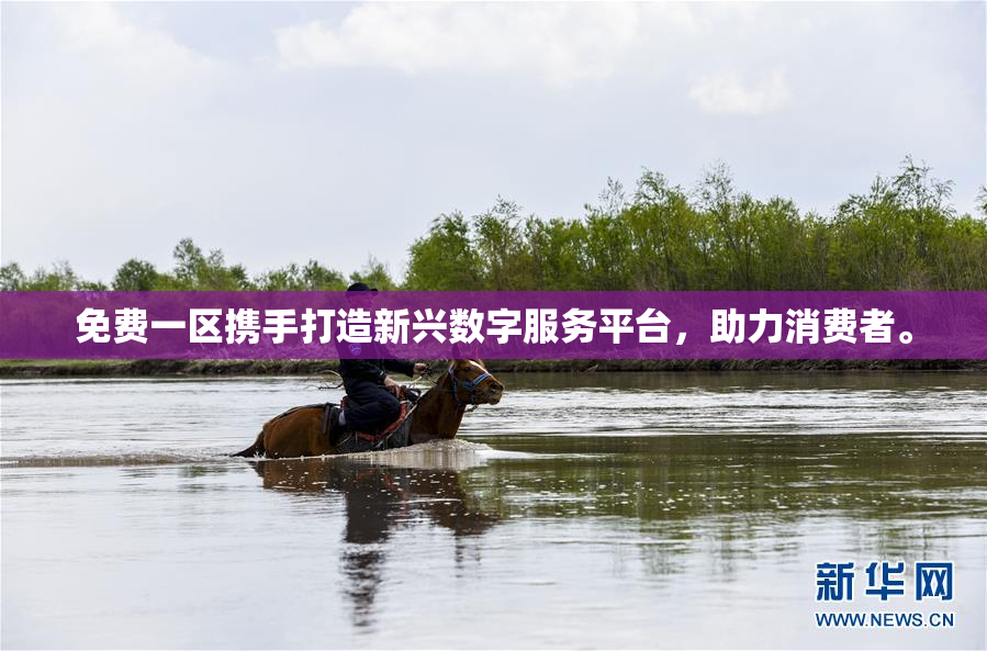 免费一区携手打造新兴数字服务平台，助力消费者。
