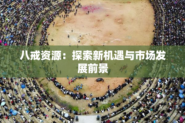 八戒资源：探索新机遇与市场发展前景