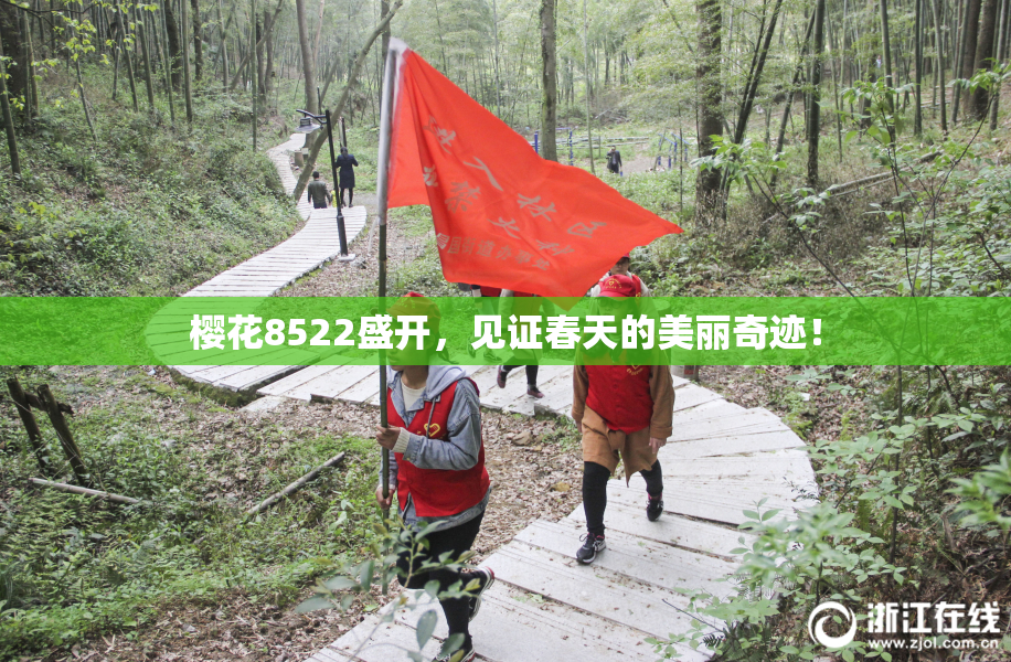 樱花8522盛开，见证春天的美丽奇迹！