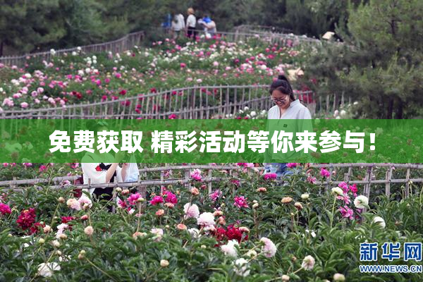 免费获取 精彩活动等你来参与！