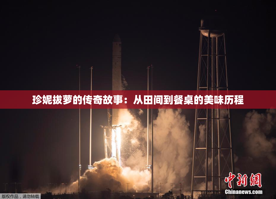 珍妮拔萝的传奇故事：从田间到餐桌的美味历程