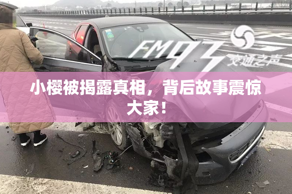 小樱被揭露真相，背后故事震惊大家！