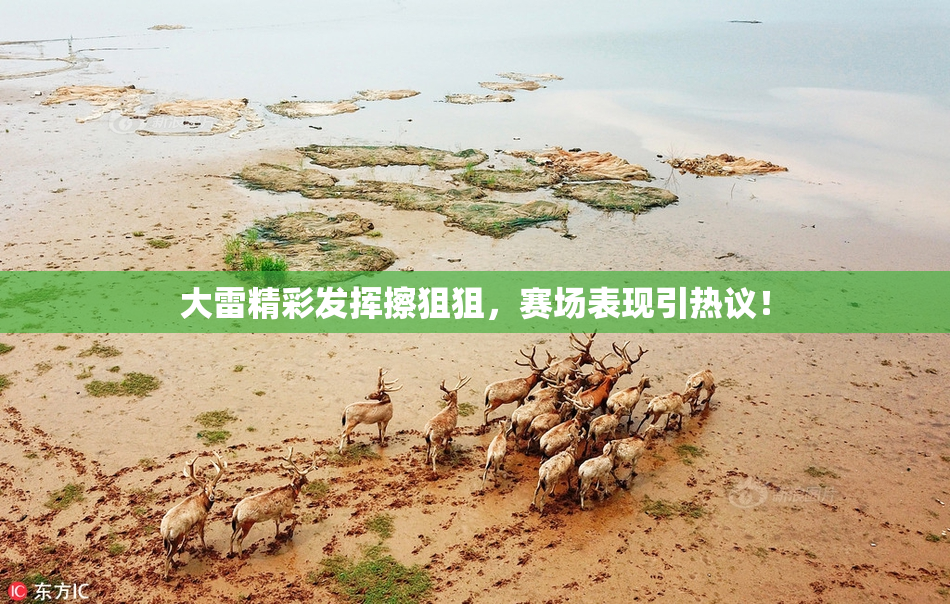大雷精彩发挥擦狙狙，赛场表现引热议！