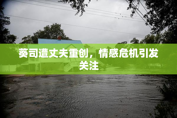 葵司遭丈夫重创，情感危机引发关注
