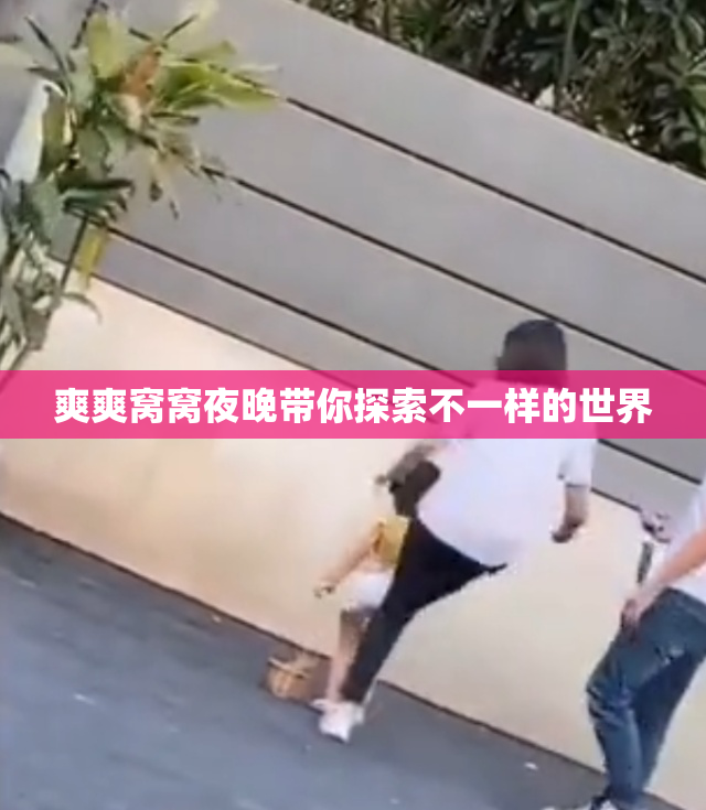 爽爽窝窝夜晚带你探索不一样的世界