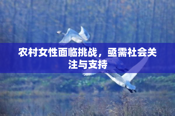 农村女性面临挑战，亟需社会关注与支持