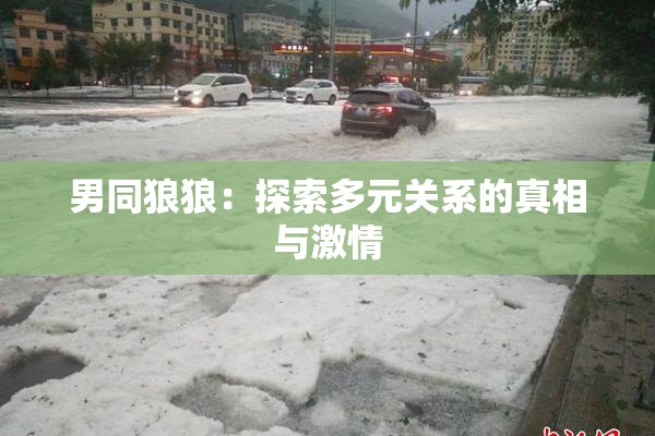 男同狼狼：探索多元关系的真相与激情