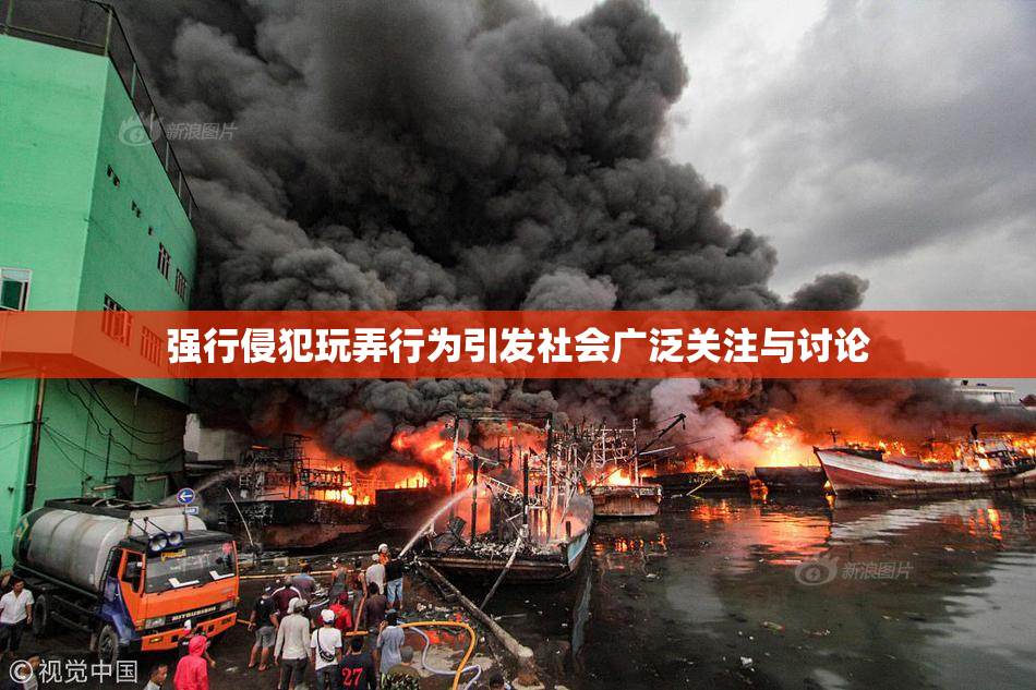 强行侵犯玩弄行为引发社会广泛关注与讨论