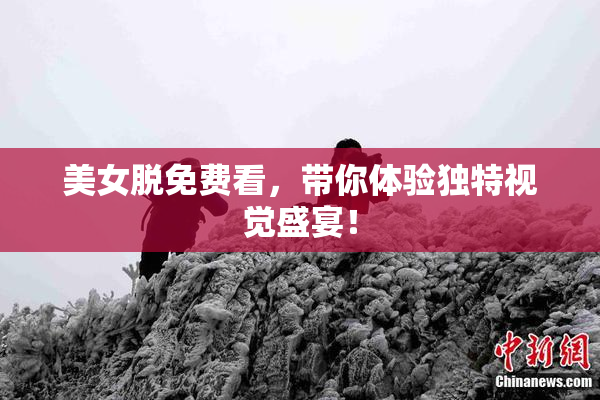 美女脱免费看，带你体验独特视觉盛宴！