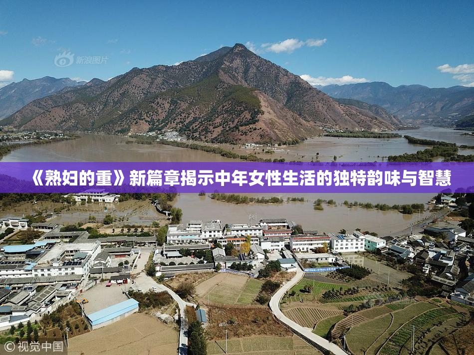《熟妇的重》新篇章揭示中年女性生活的独特韵味与智慧
