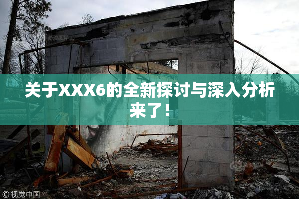 关于XXX6的全新探讨与深入分析来了！