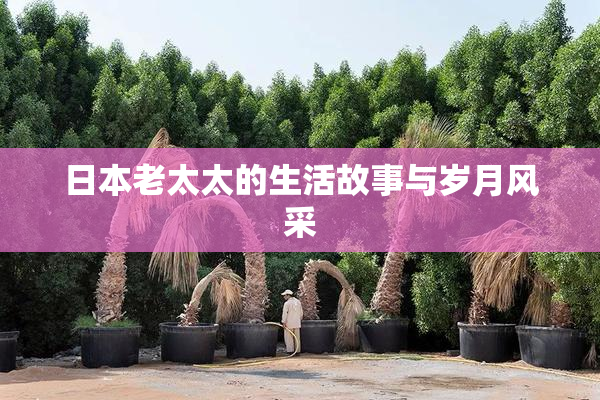 日本老太太的生活故事与岁月风采