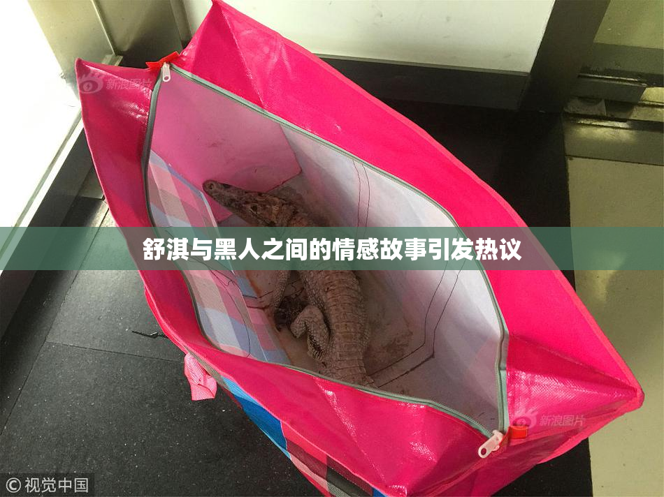 舒淇与黑人之间的情感故事引发热议
