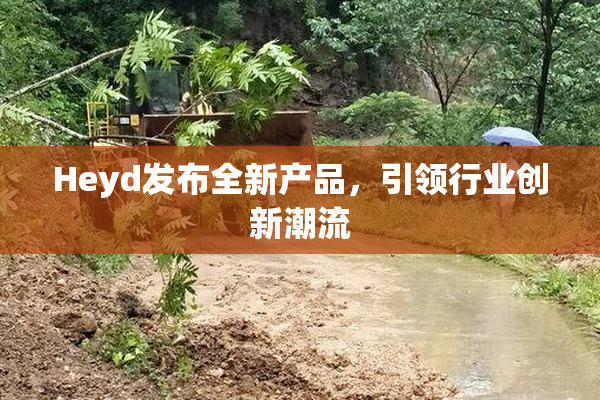 Heyd发布全新产品，引领行业创新潮流