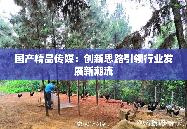 国产精品传媒：创新思路引领行业发展新潮流