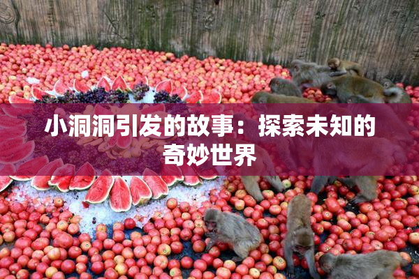 小洞洞引发的故事：探索未知的奇妙世界