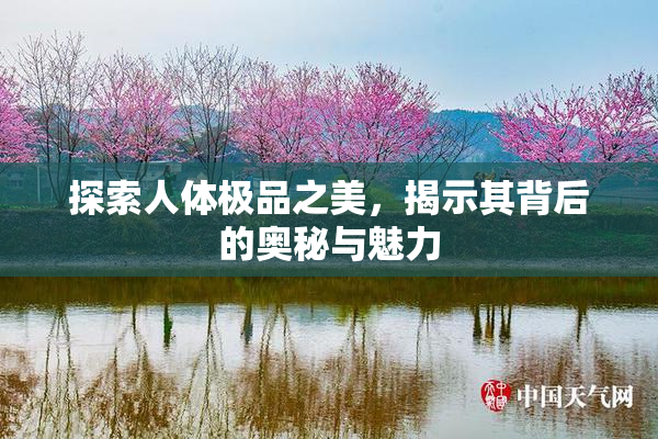 探索人体极品之美，揭示其背后的奥秘与魅力
