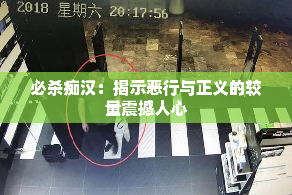 必杀痴汉：揭示恶行与正义的较量震撼人心