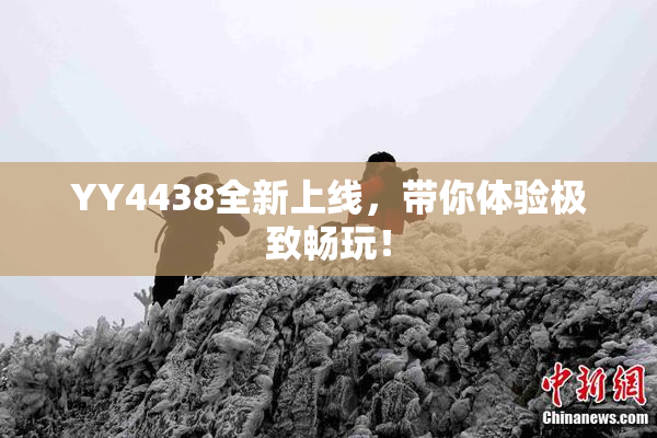 YY4438全新上线，带你体验极致畅玩！