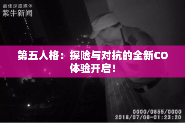 第五人格：探险与对抗的全新CO体验开启！