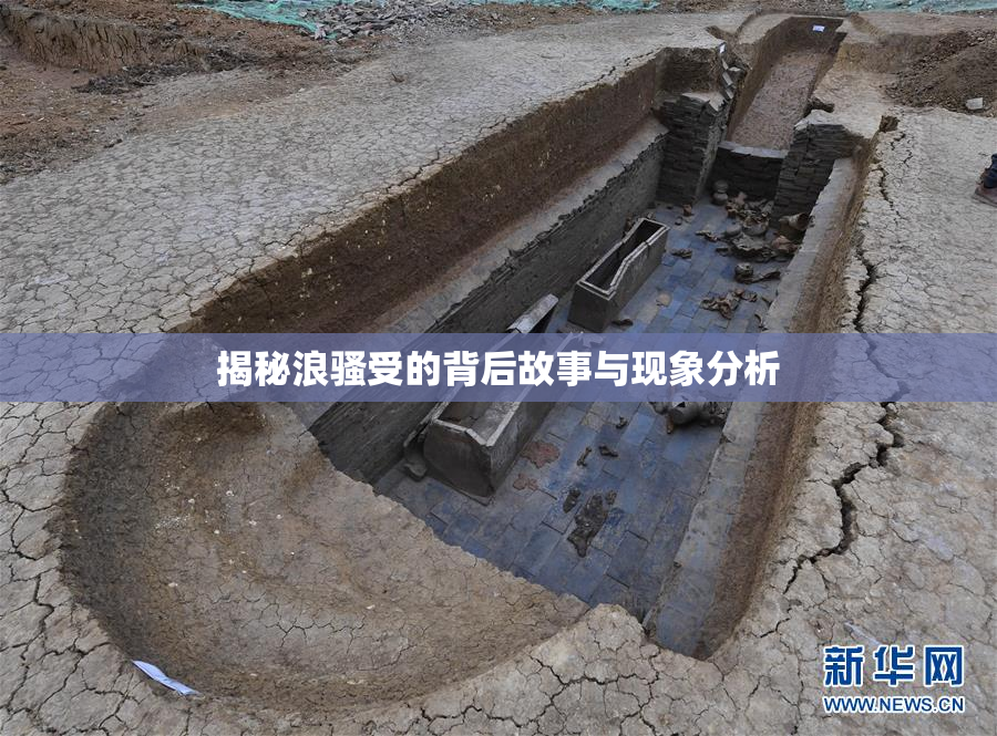 揭秘浪骚受的背后故事与现象分析