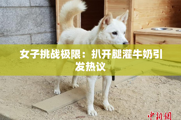 女子挑战极限：扒开腿灌牛奶引发热议