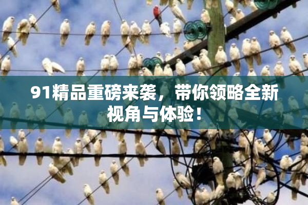 91精品重磅来袭，带你领略全新视角与体验！