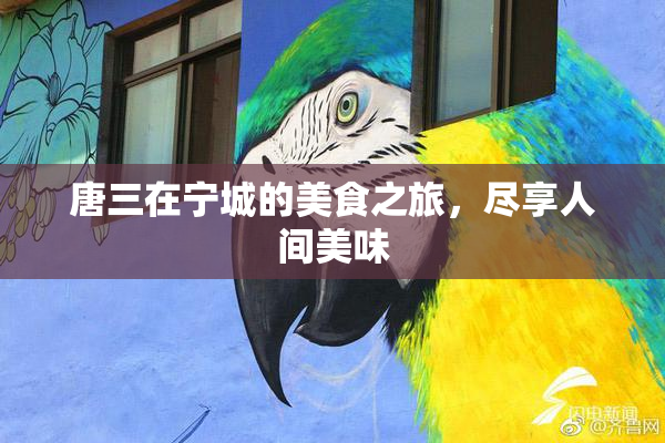 唐三在宁城的美食之旅，尽享人间美味