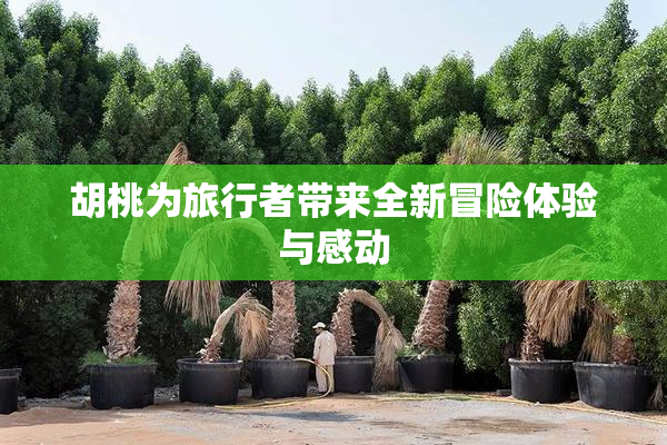 胡桃为旅行者带来全新冒险体验与感动