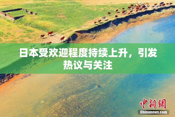 日本受欢迎程度持续上升，引发热议与关注