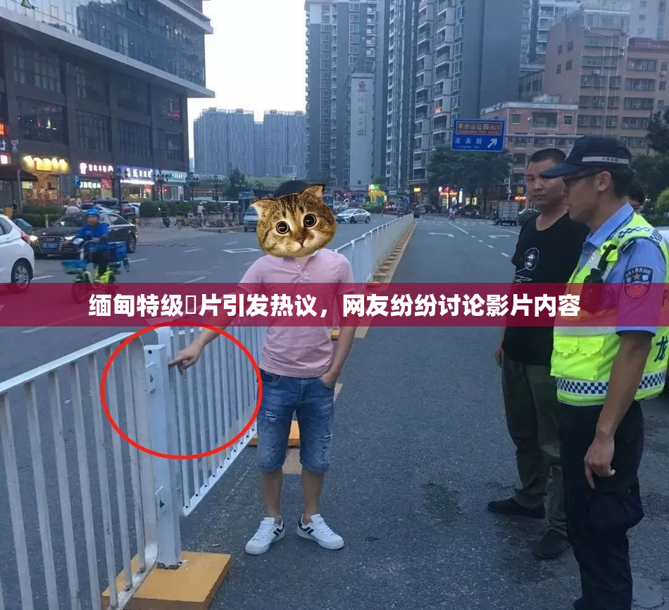 缅甸特级婬片引发热议，网友纷纷讨论影片内容