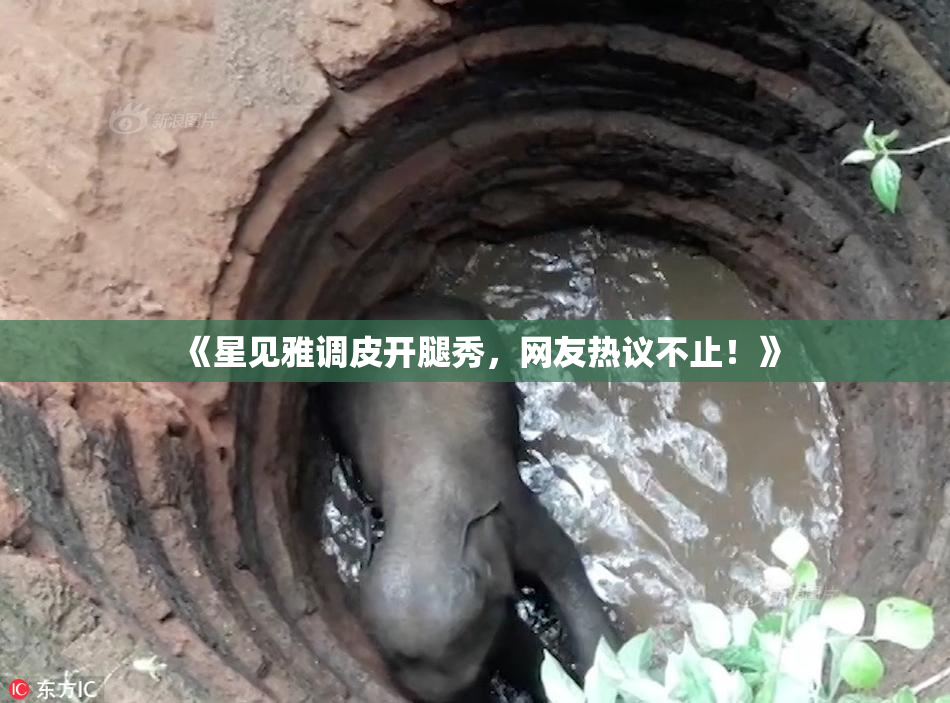 《星见雅调皮开腿秀，网友热议不止！》