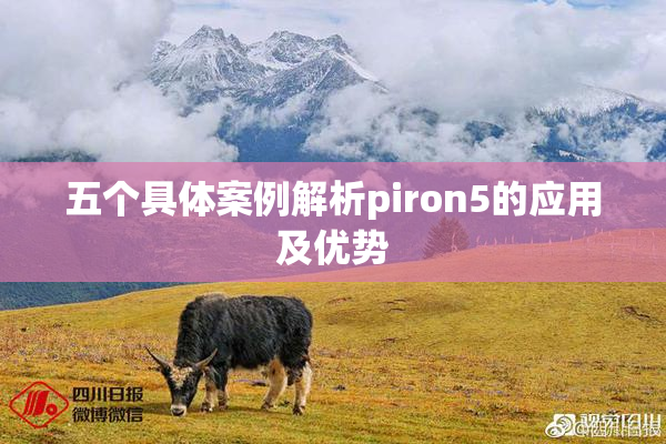 五个具体案例解析piron5的应用及优势