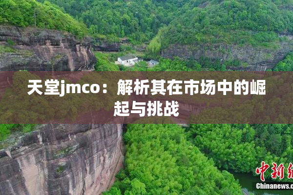 天堂jmco：解析其在市场中的崛起与挑战