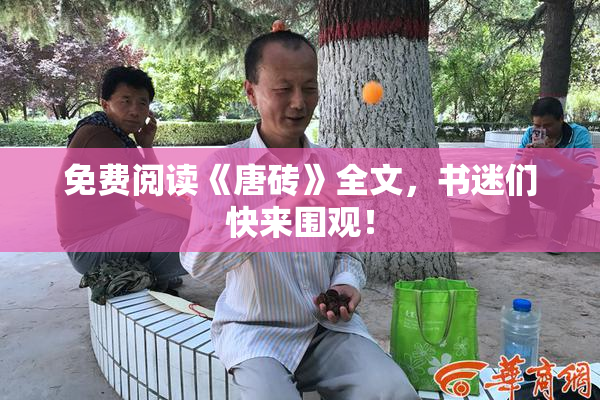 免费阅读《唐砖》全文，书迷们快来围观！