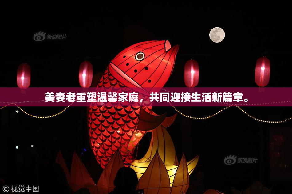 美妻老重塑温馨家庭，共同迎接生活新篇章。