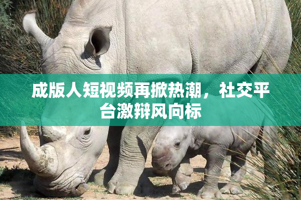 成版人短视频再掀热潮，社交平台激辩风向标
