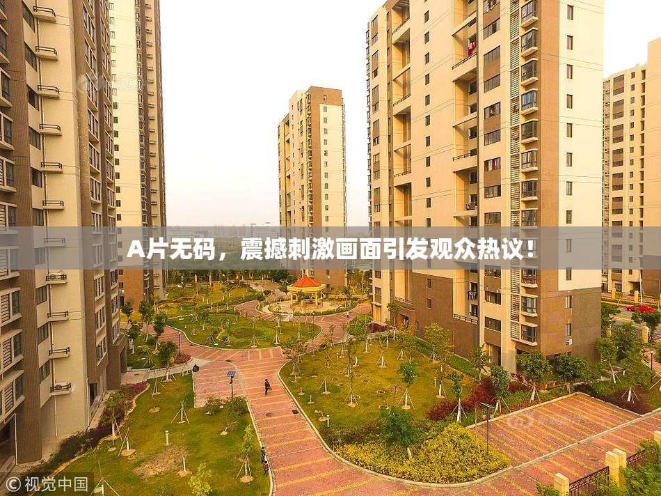 A片无码，震撼刺激画面引发观众热议！