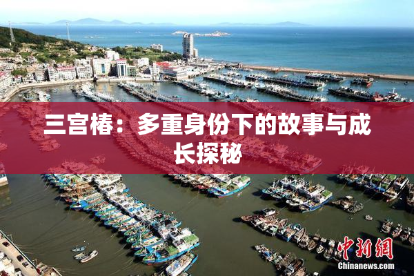 三宫椿：多重身份下的故事与成长探秘