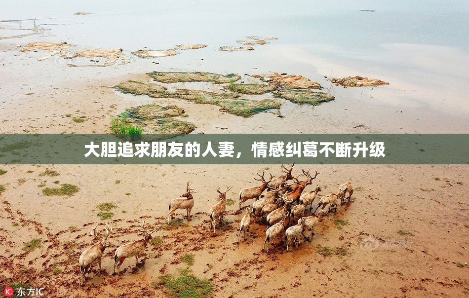 大胆追求朋友的人妻，情感纠葛不断升级
