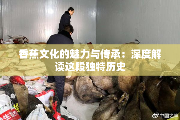 香蕉文化的魅力与传承：深度解读这段独特历史