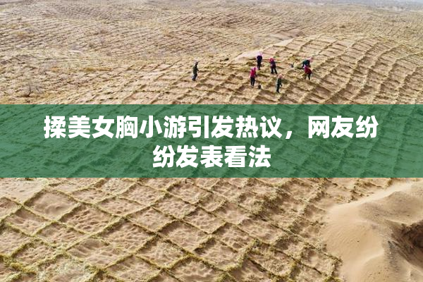 揉美女胸小游引发热议，网友纷纷发表看法